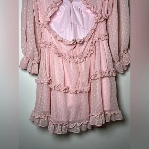 Dusty Pink Swiss Dot Mini Dress with Ruffles – Size Large - Picture 13 of 15